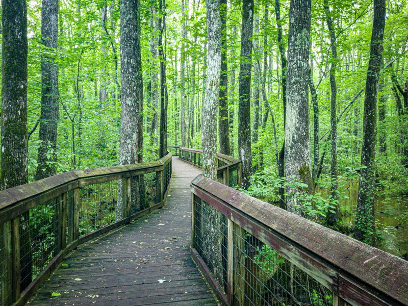 Lorance Creek Natural Area