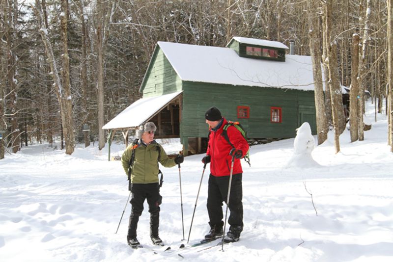 Morning Snowshoeing Adventure