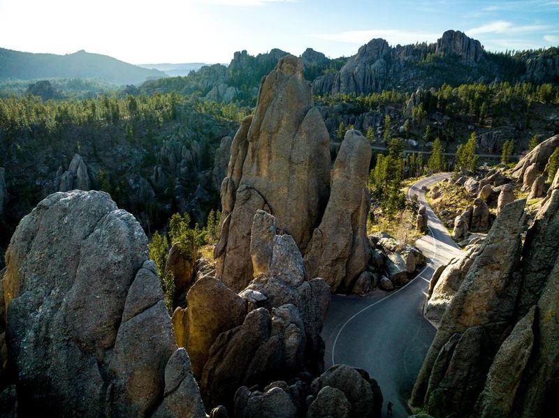 Commercialization of the Black Hills