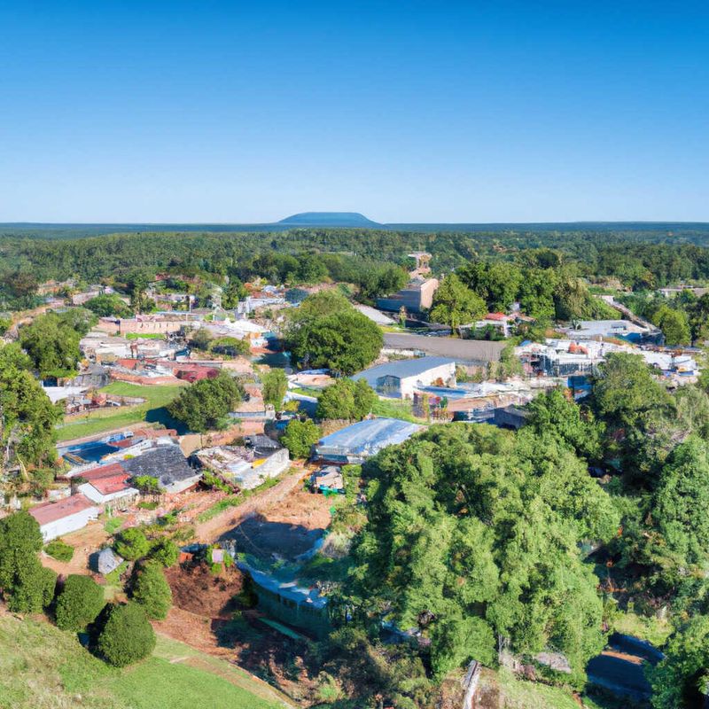 Pelham – City Lights, Country Bites