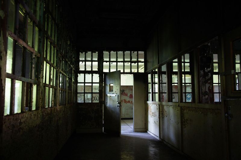 Photography Tips for Moody Shots