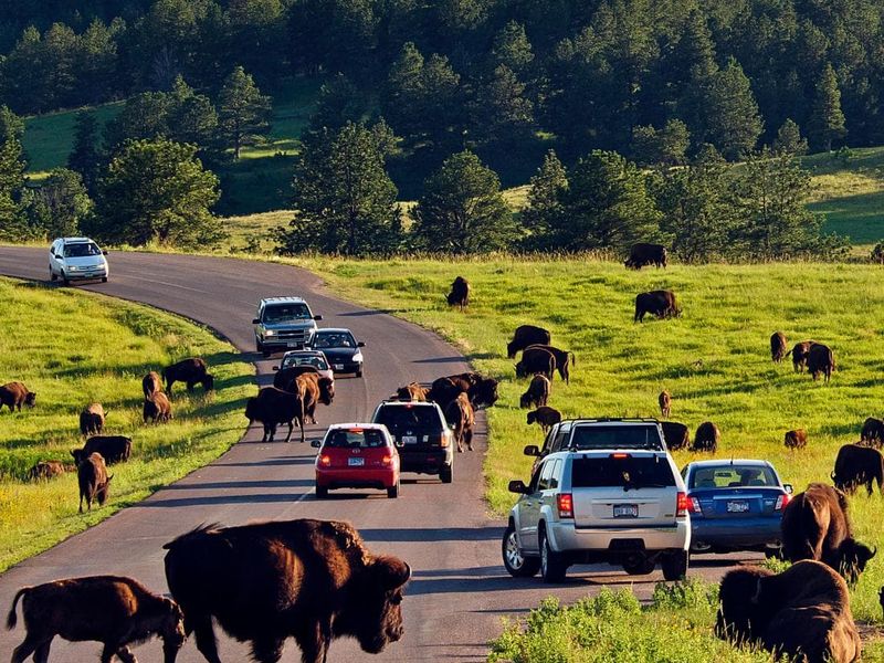 Tourism Experience Degrades For Everyone