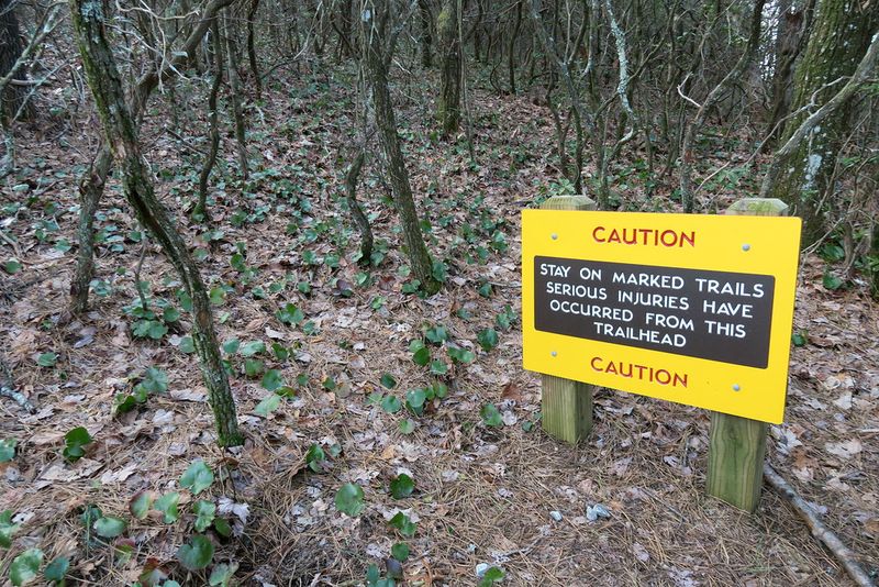 Trail Shortcuts Damage Ecosystems and Break Rules