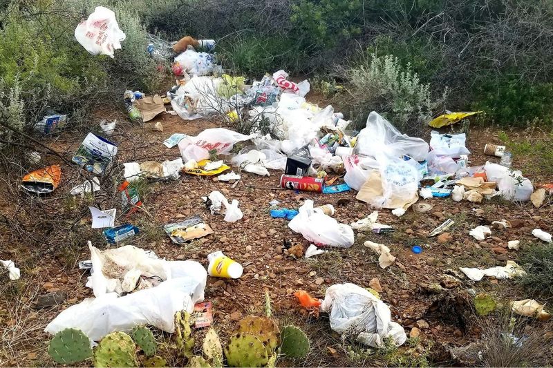 Leaving Excessive Trash and Litter