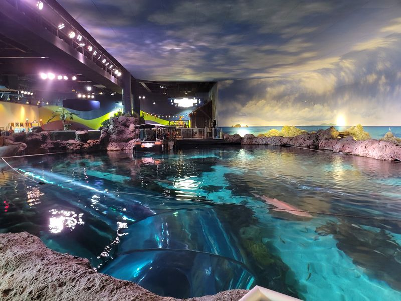 Glass Bottom Boat Adventure