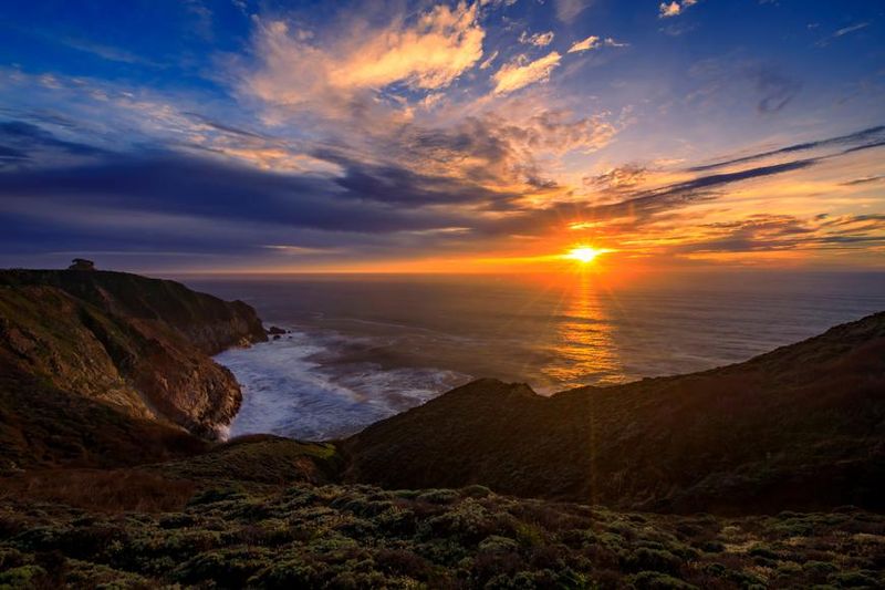 Wildlife and Nature Encounters