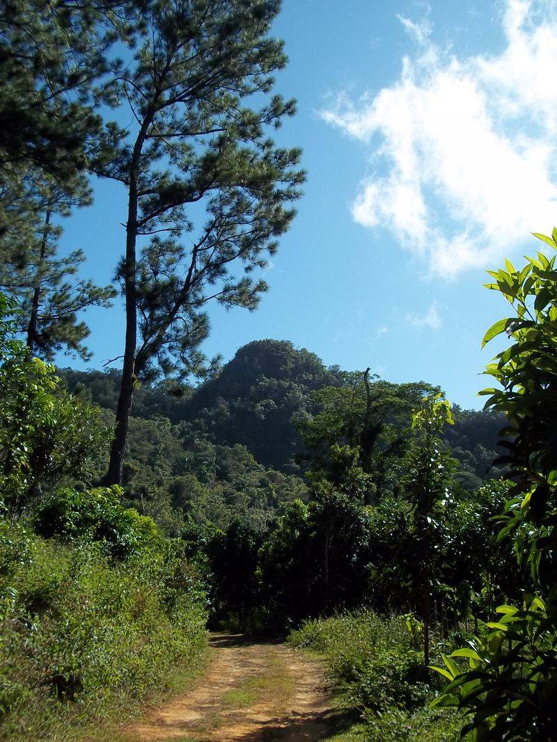 Box Falls (Near Cuba)