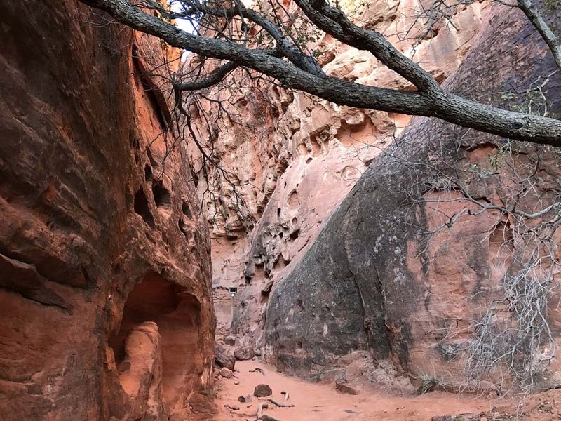 Jenny’s Canyon, Snow Canyon State Park