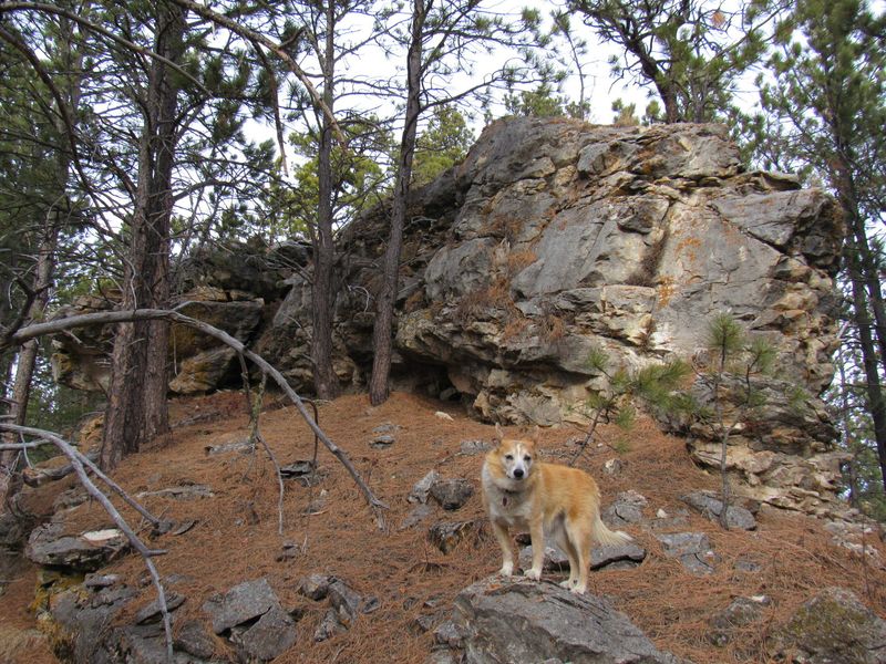 The Mystery of Missing Remains