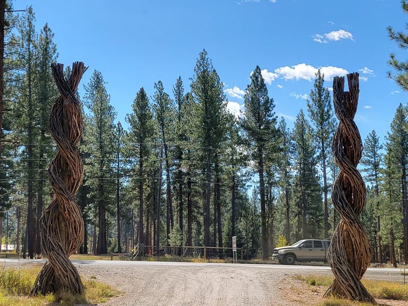 Lincoln and Its Forested Valley in the Cold Season