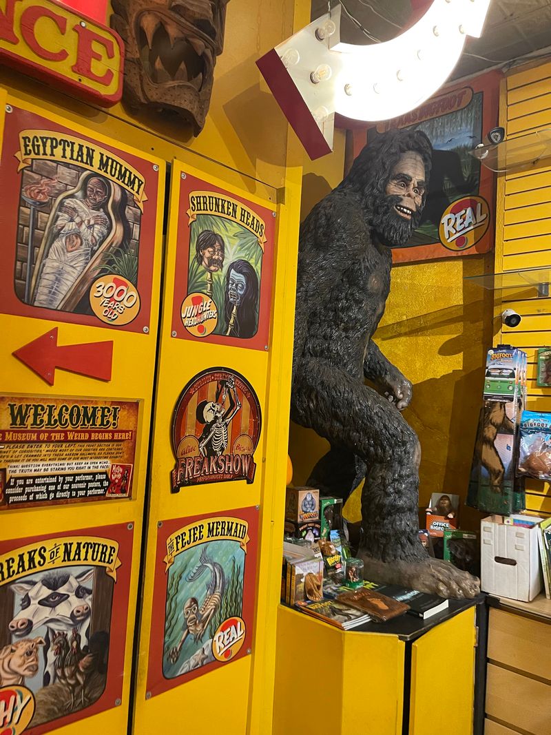 Unexpected Displays That Turn a Short Visit Into a Long One