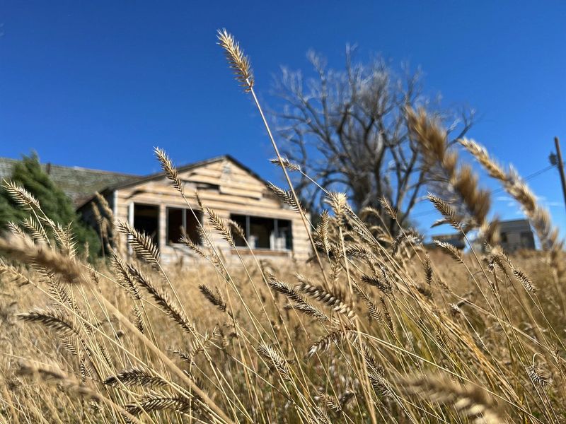 Preservation Efforts and Future Possibilities