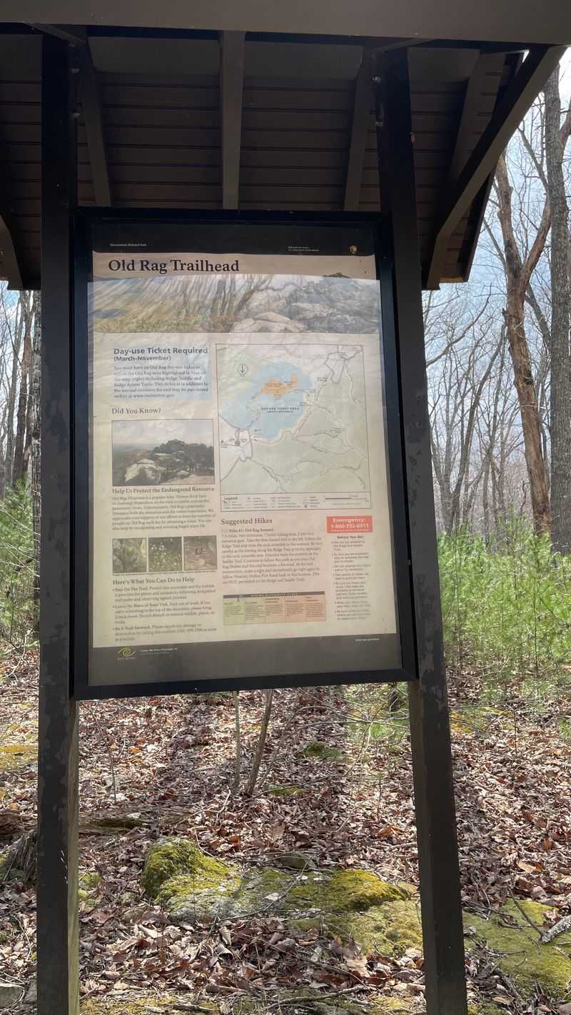 Planning Together Builds Anticipation