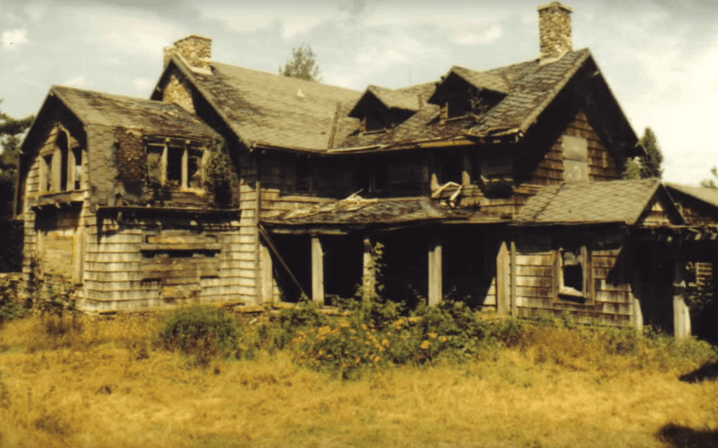 The Role of the Aging Organ