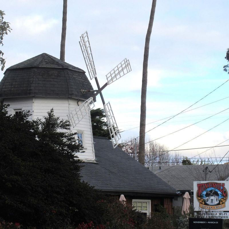 A Café That Defies the Ordinary