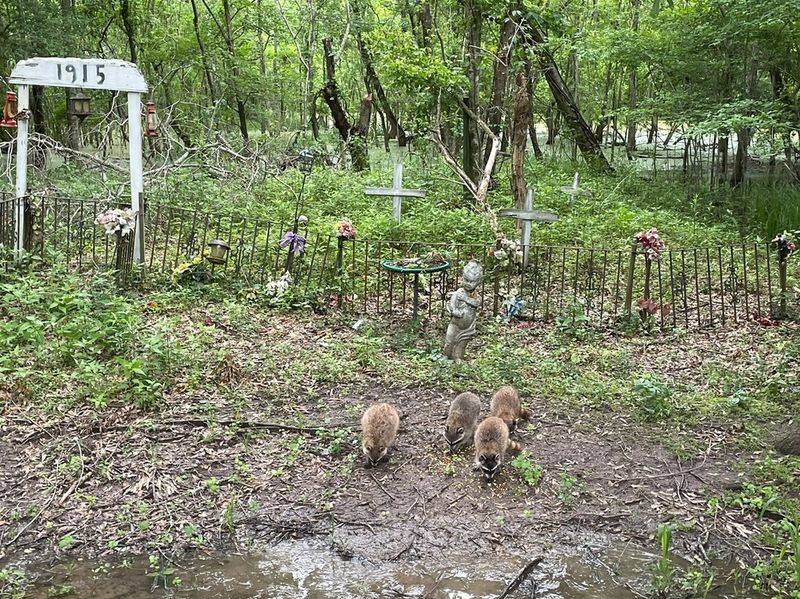 Frenier Cemetery’s Slight Rise