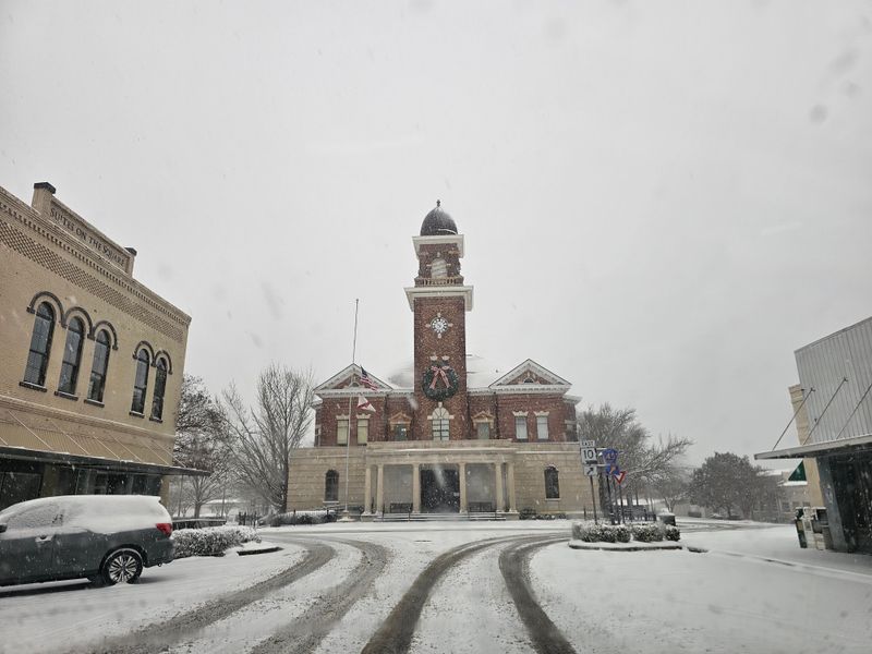 Greenville’s Historic Streets Framed by Tall Pines