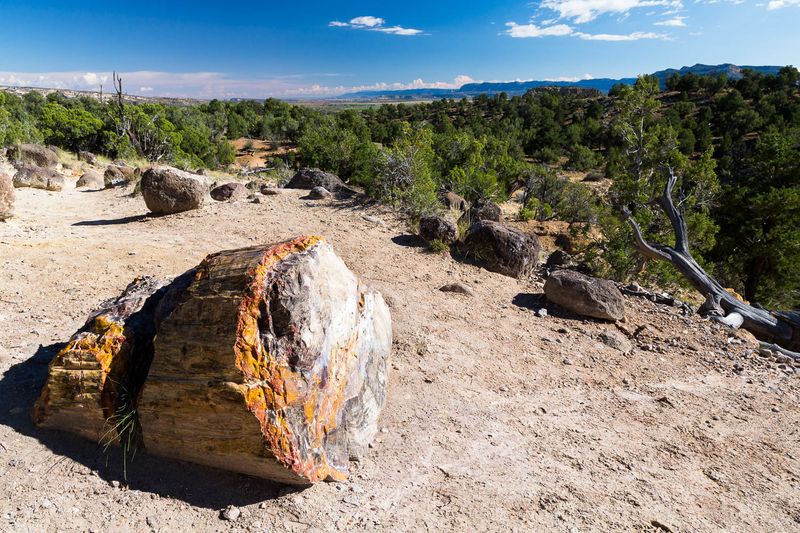 Escalante Petrified Forest’s Stone Garden