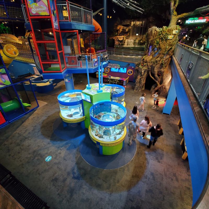 Accessibility and Grandparent-Friendly Tips