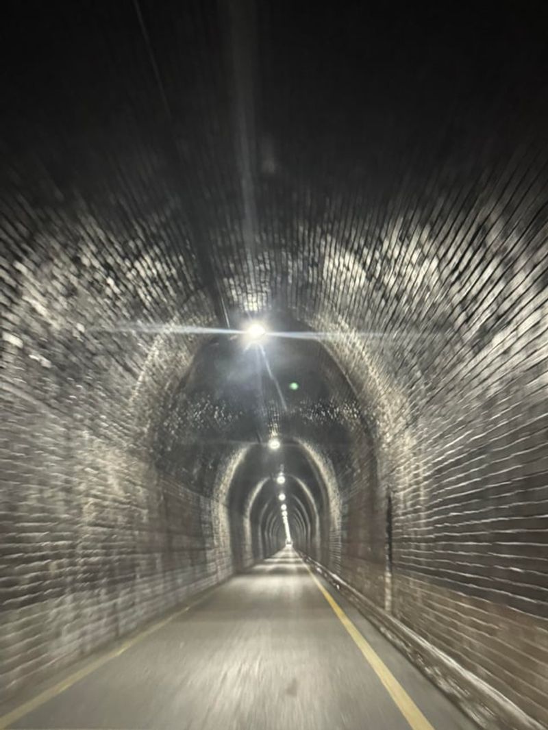 The Wanderer's Lantern