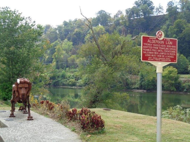 No Big Cats on Alderson Streets