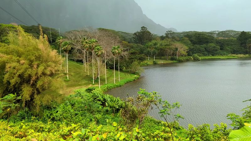 Ho?omaluhia Botanical Garden
