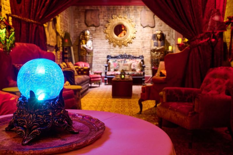 Guest and Staff Experiences