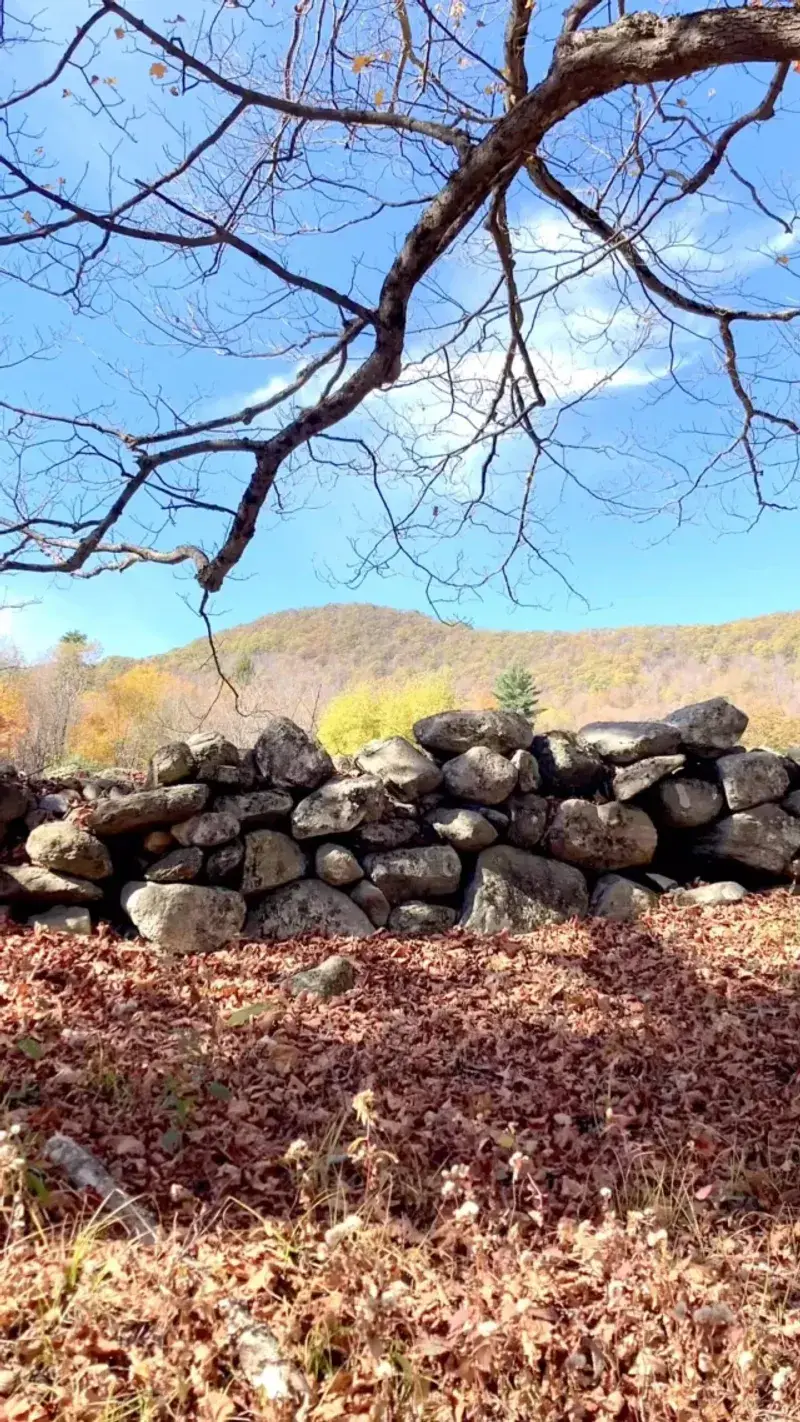 Preservation Efforts