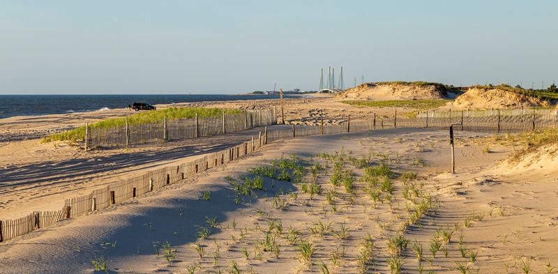 Nearby Nature: Delaware Seashore State Park