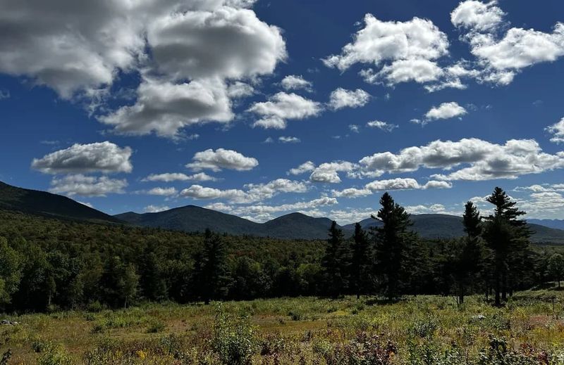 Modern-Day Recreation