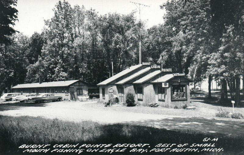 The Library of Summers