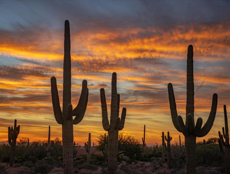 Iconic Arizona Scenery
