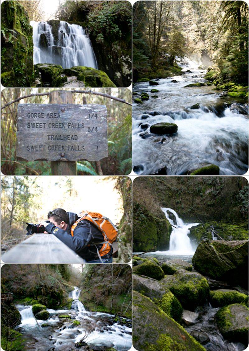 Sweet Creek Falls Trail (Mapleton)