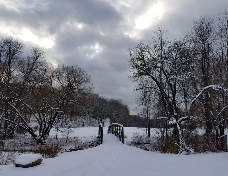 Absence of Traffic and Stoplights