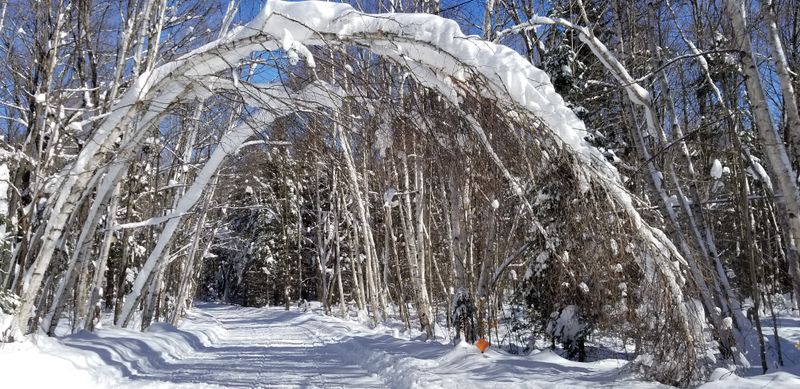A Historic Main Street With Classic Northwoods Character