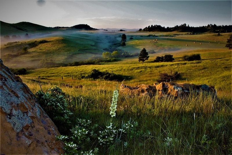 Why “Dull” Is Becoming a Compliment