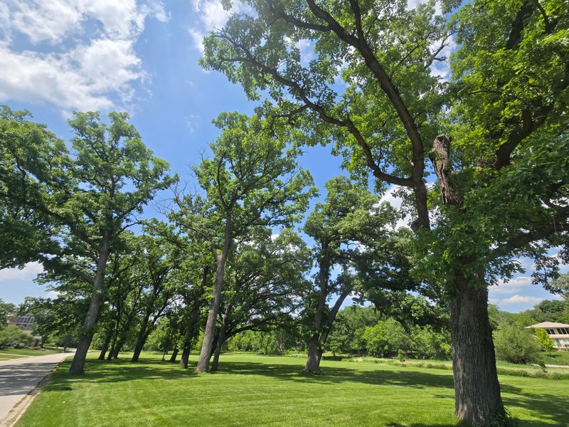Naperville, North Lake Greenway