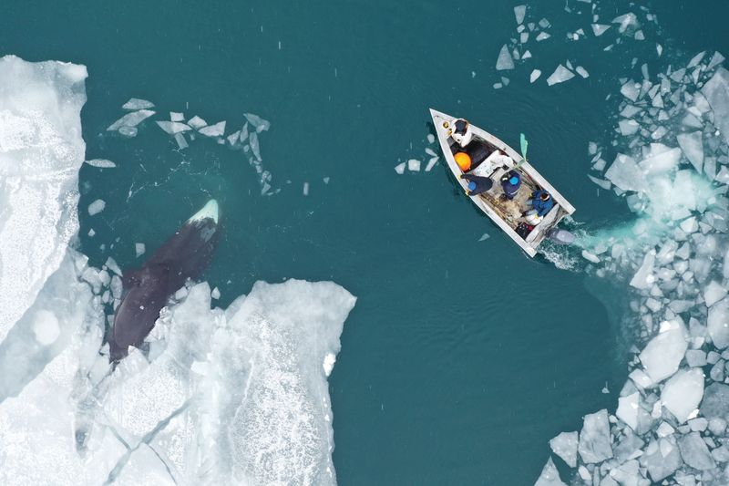 Sharing and Subsistence Living