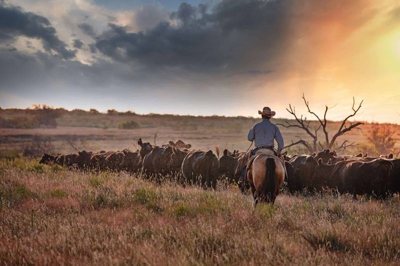 Panhandle Country and Its Wide Open Prairie