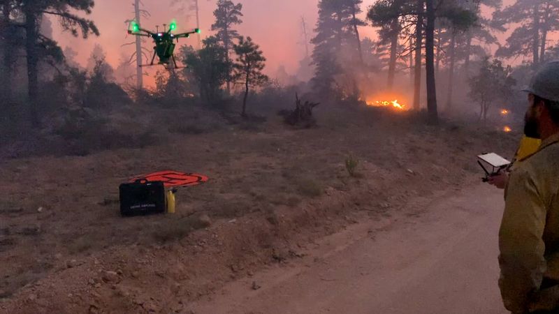 Emergency Operations Conflicts