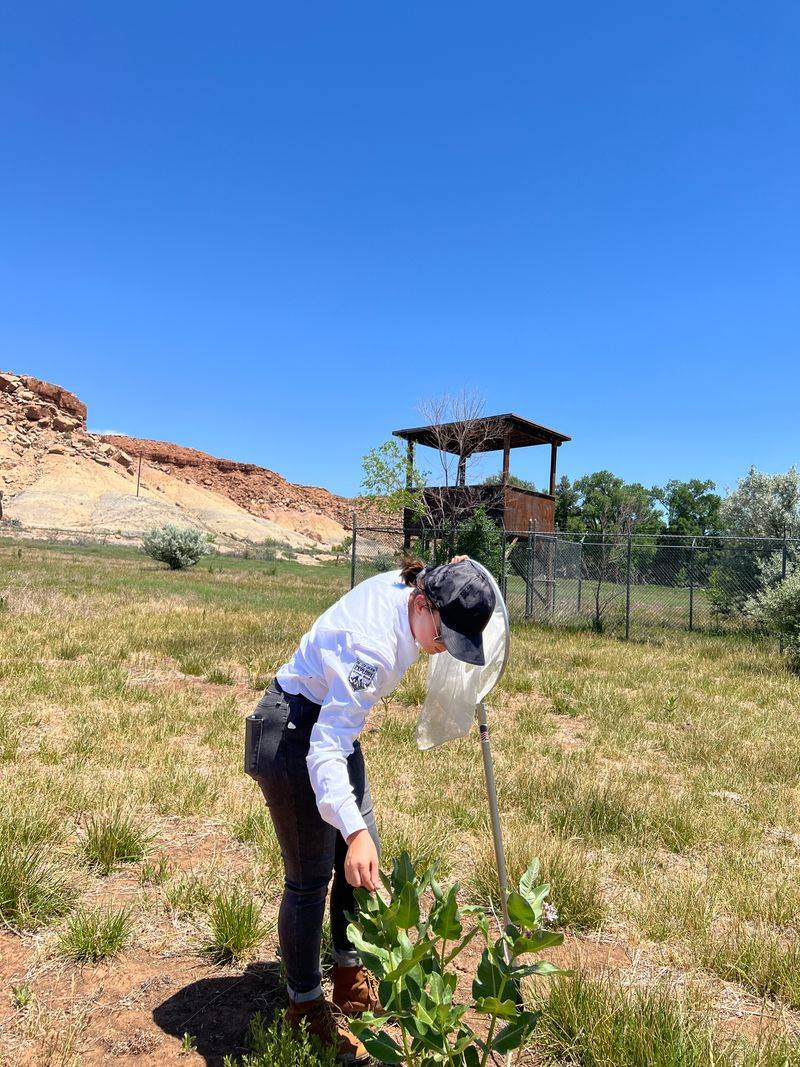 Scientific Investigations That Added to the Ranch’s Infamy