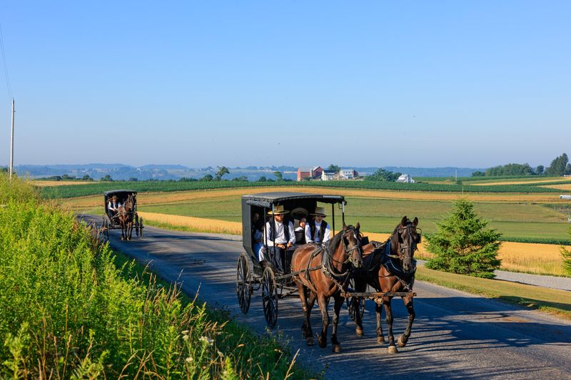 Drive Carefully and Be Patient