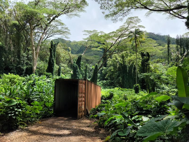 Cultural respect and local stories