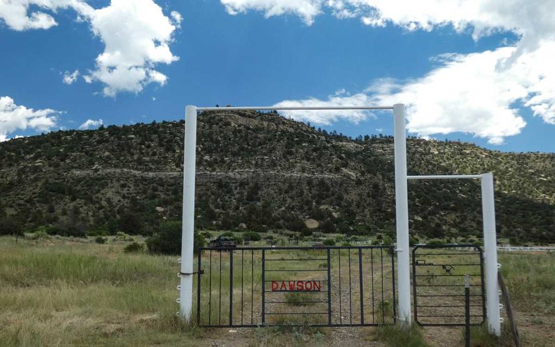 Safety, seasons, and wildlife awareness