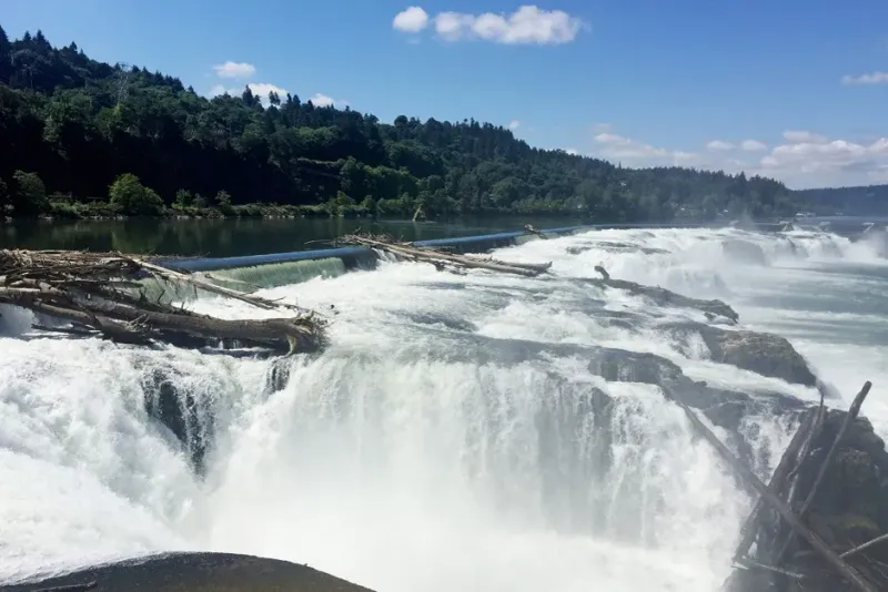 Willamette Falls: A Natural Wonder