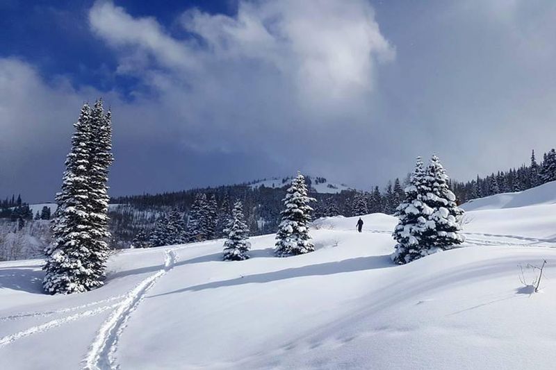 Snowshoe Through the Alpine Meadows of the Uintas