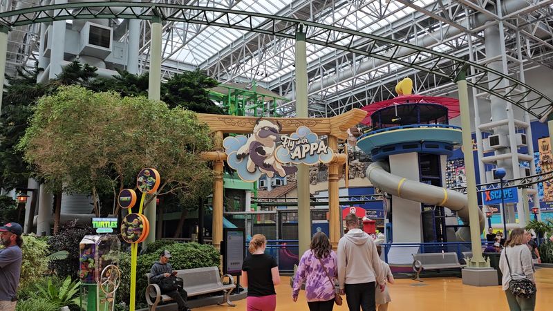 Family Rides And Character Smiles