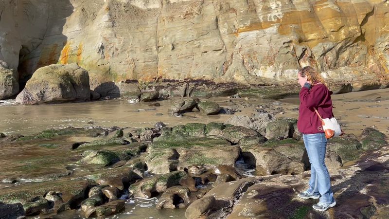 Tide Pools Full of Marine Surprises