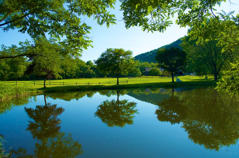 The Sound of Silence