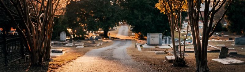Memory Hill Cemetery
